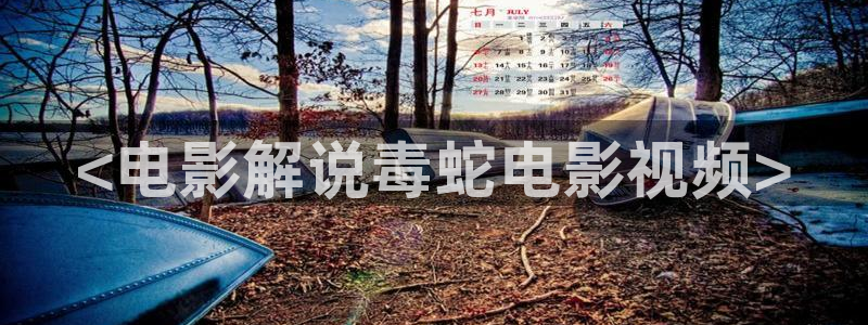樱桃小视频短视频