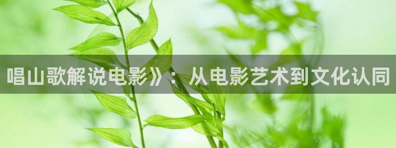 樱桃免费观看视频大全