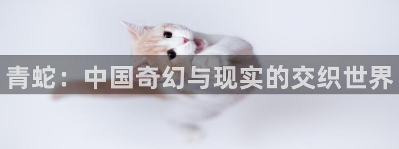 樱桃视频免费国产