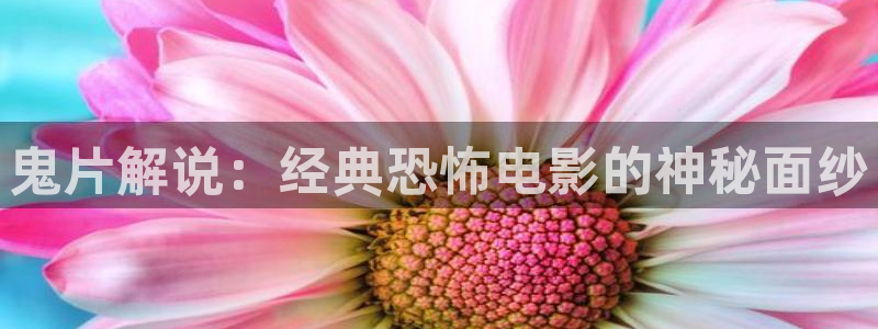 樱桃电视剧免费在线观看