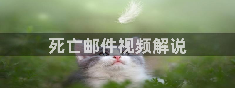 樱桃视频在线电影