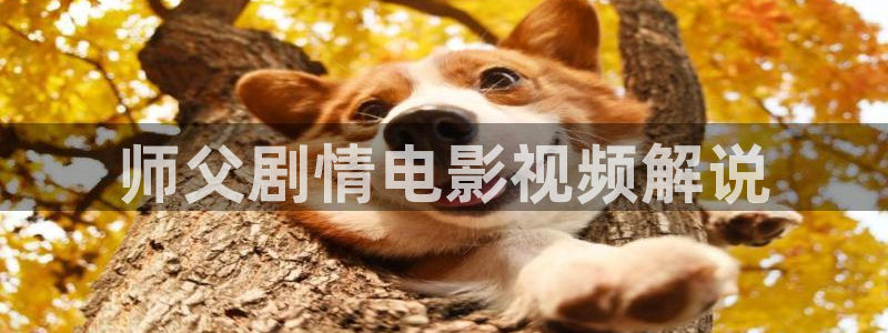 爱樱桃视频