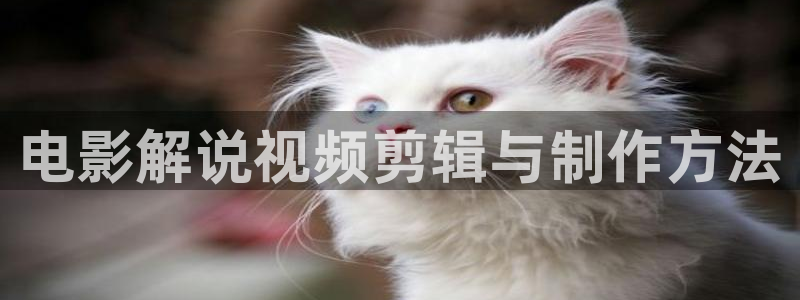 樱桃影院免费观看