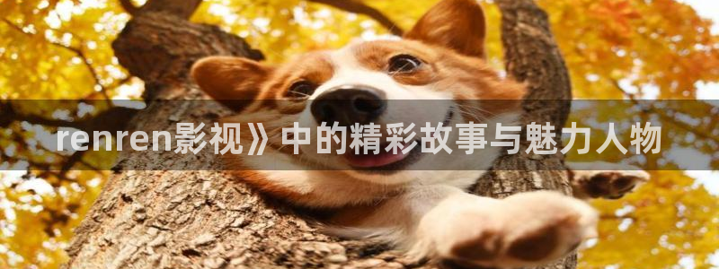 樱桃视频大全免费高清版观看下载