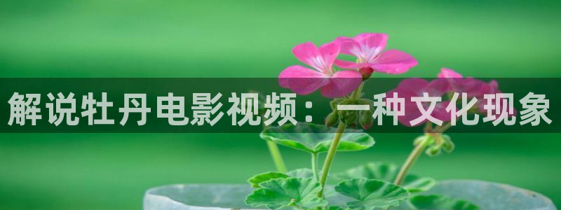 大连沙王樱桃品种介绍视频