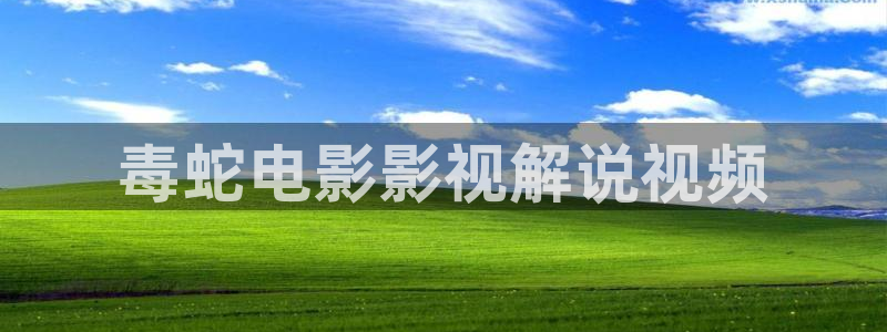 樱桃种植视频