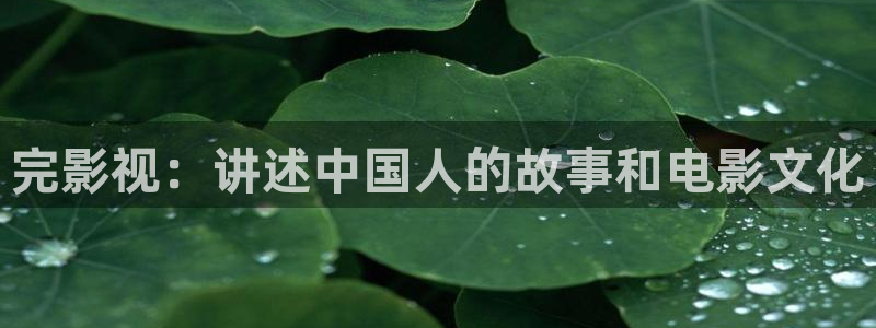 樱桃视频成年人