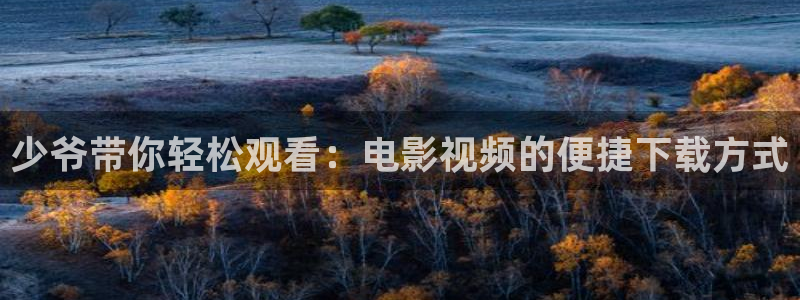 樱桃app在线下载