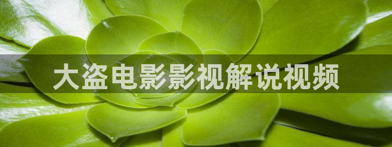 樱桃 在线 视频