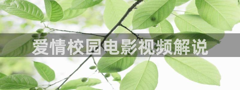 网站樱桃视频