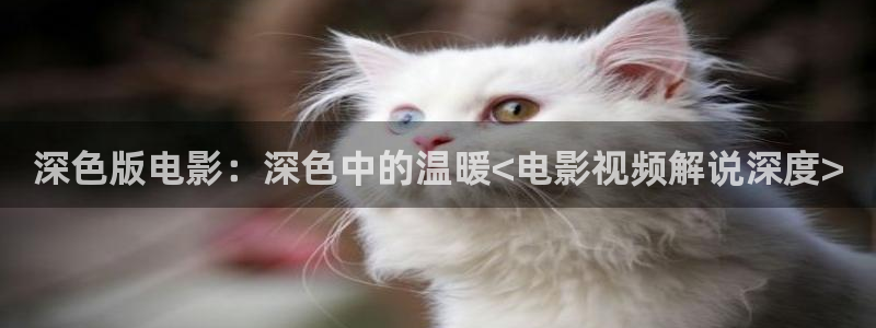 樱桃影院电视剧在线播放