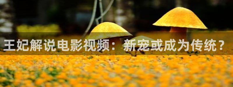 成人樱桃视频下载app