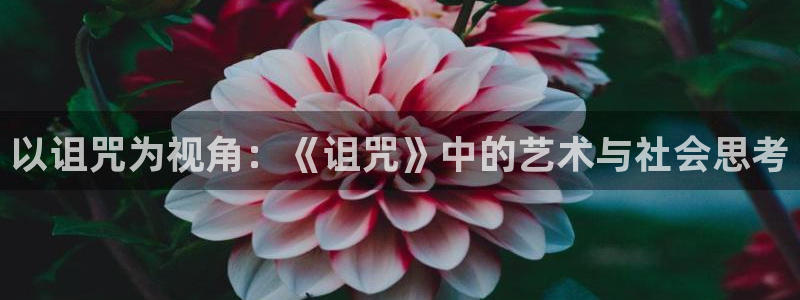 樱桃大树移栽视频