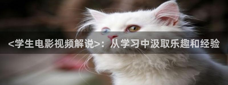 樱桃视频app成人