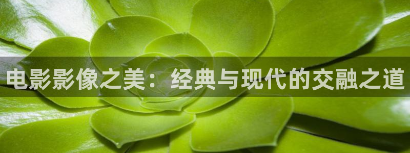 樱桃视频app大全