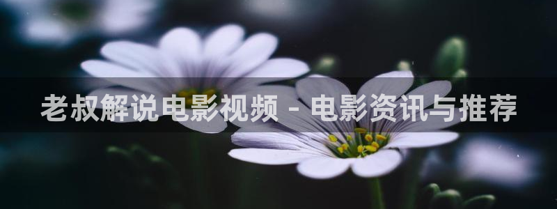 樱桃视频大全免费观看