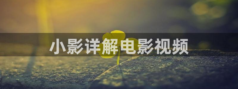 樱桃污污视频