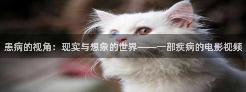 怎么做樱桃酱视频