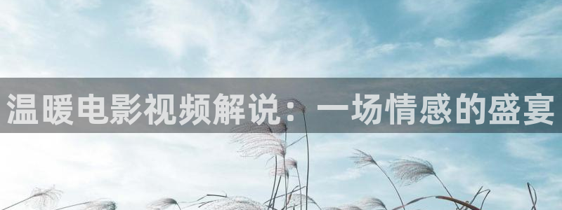樱桃怎么做酒视频