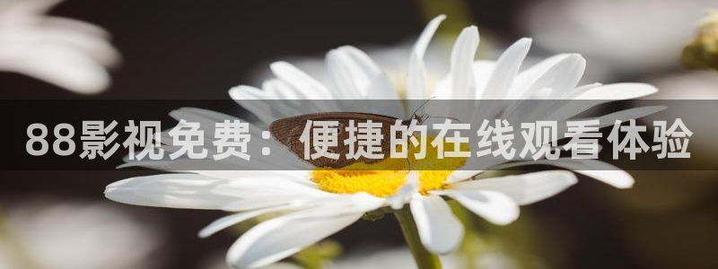 樱桃视频一级片