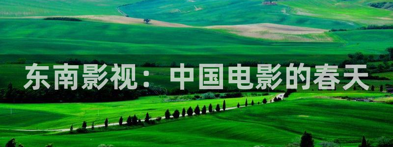 樱桃视频软件下载