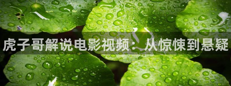 樱桃视频啊啊啊