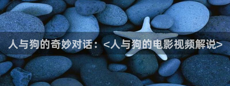 樱桃视频完整