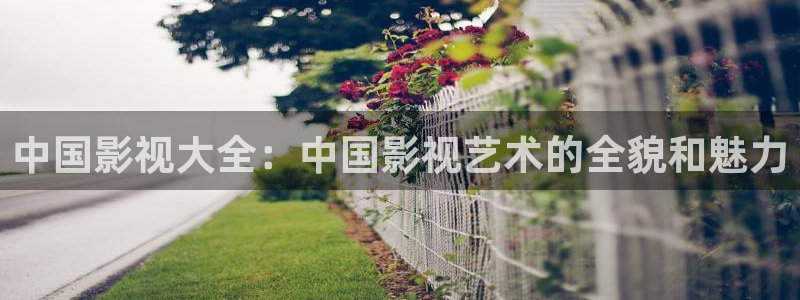 樱桃电影无删减
