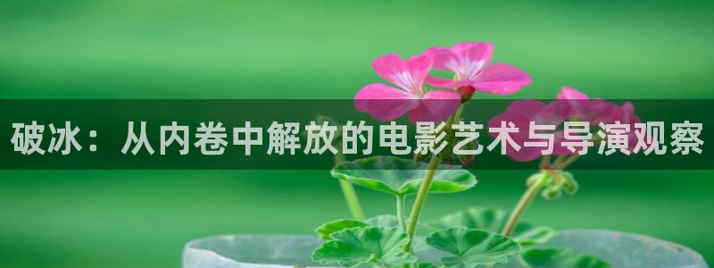 樱桃视频小蝌蚪视频