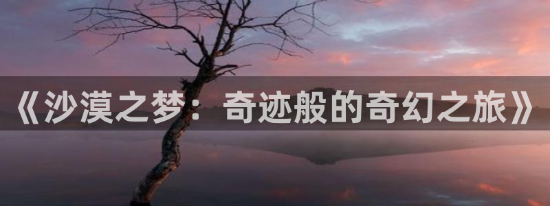 樱桃影院免费在线观看
