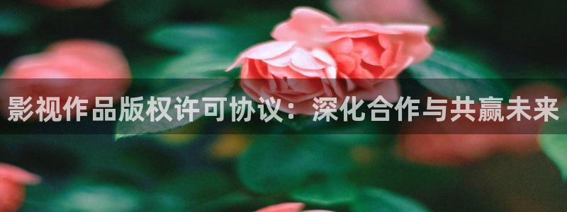 樱桃视频樱桃直播