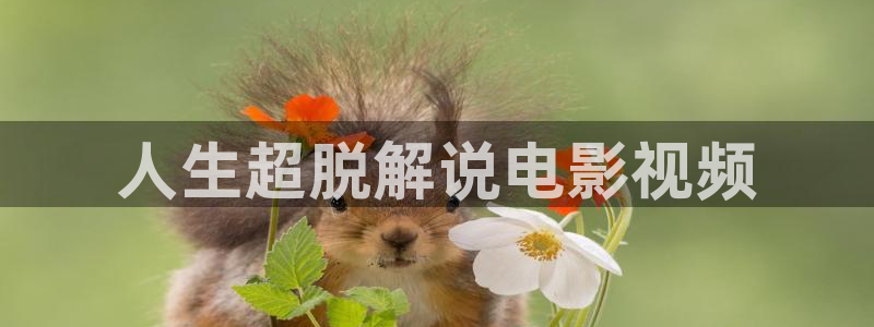 樱桃视频啪
