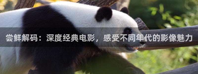 樱桃视频大全在线高清版观看