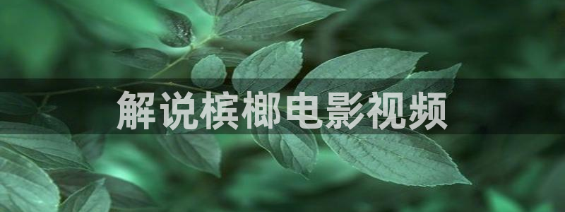 樱桃网app在线观看